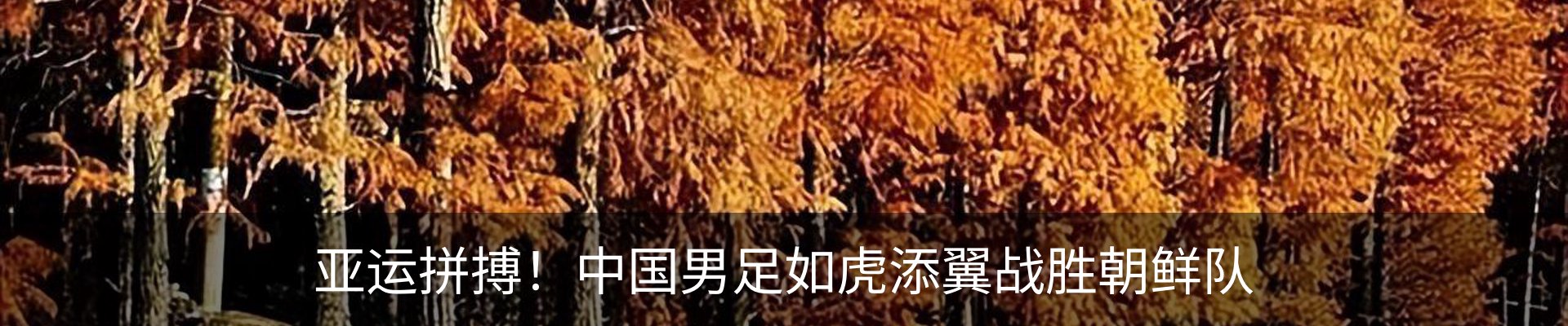 资讯动态
