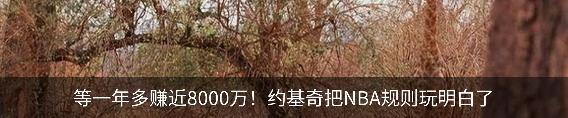 资讯动态